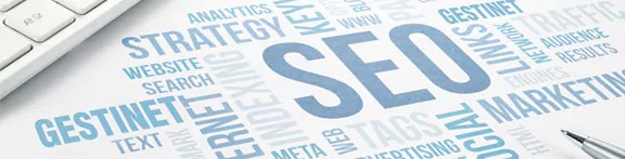 Positioning Web SEO