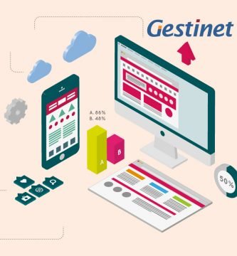 Disseny web Gestinet