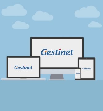 posicionamiento google web gestinet