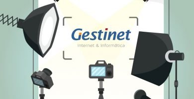 Posicionament google Gestinet