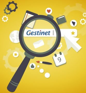 posicionamiento google Gestinet