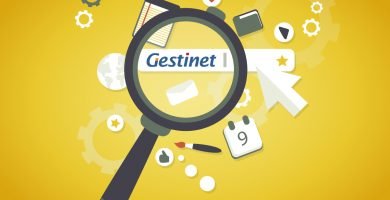 posicionamiento google Gestinet