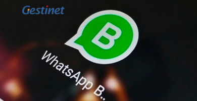 Whatsapp Business