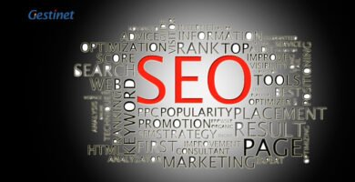 posicionament web