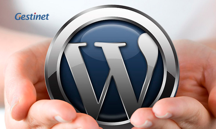 Manteniment web