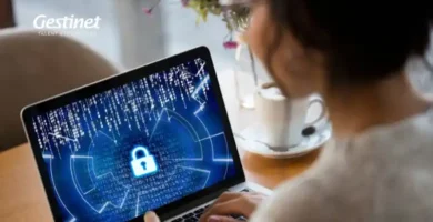 Anàlisi i monitorització del rendiment web per a empreses
